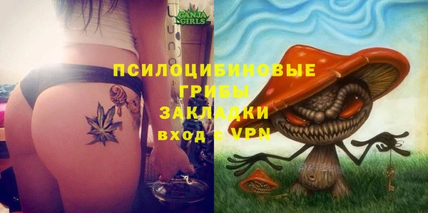 ешки Богородицк