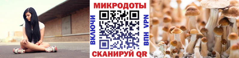Купить закладки  Любим  Галлюциногенные грибы мицелий 